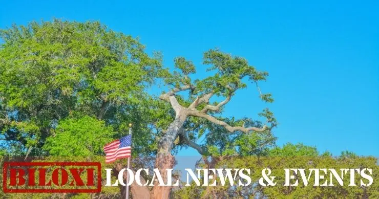 Biloxi Local News & Events - News Summary