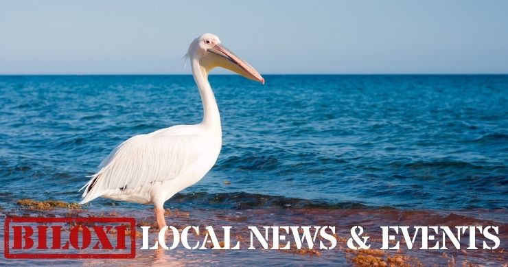 Biloxi Local News & Events - News Summary