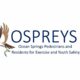 OSPREYS awarded nationwide grant for mural, pocket park in Ocean Springs