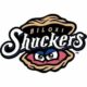 Shuckers postpone game with M-Braves following Ida, COVID test