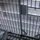 Escaped inmates from Poplarville jail back in custody