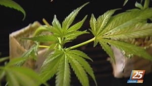 Mississippi negotiators reach proposal on medical marijuana