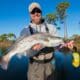 The Ultimate Guide to Fall Fishing in Coastal Mississippi
