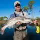 The Ultimate Guide to Fall Fishing in Coastal Mississippi