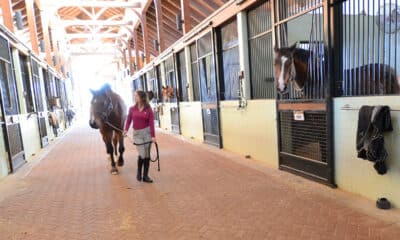 Photo gallery: Equestrian program at Mississippi College