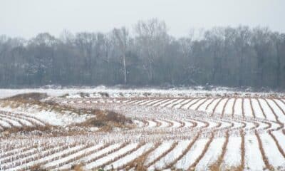 Central, northern Mississippi sees heavy snowfall early Sunday