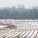 Central, northern Mississippi sees heavy snowfall early Sunday