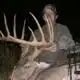 Mississippi deer hunter’s chance encounter yields 149-inch buck