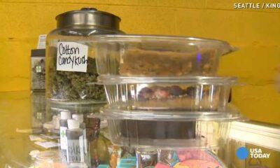 Mississippi medical marijuana bill to be reviewed by Senate committee