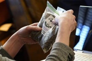 Mississippi medical marijuana licensing set to start by June