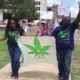 Mississippi medical marijuana legal 2022: Bill signed into law