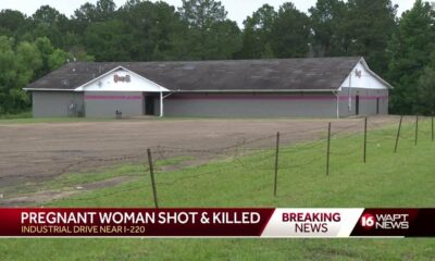 Pregnant Woman Killed