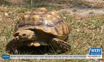 Jackson County celebrates nature at Sand Jam ‘23