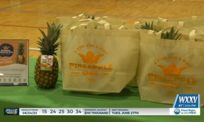 Pine for a Pint Blood Drive - pineapples by Dole Fruit Company