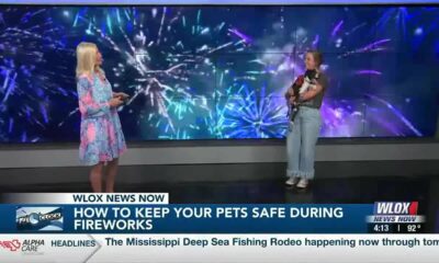 Firework safety tips for pets