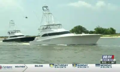 NOAA proposes slow boating zone for Rice’s Whale, idea still being discussed