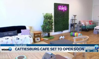 Owner: Cattiesburg Cafe scheduled to open no later than August