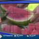 Watermelon Festival brings down curtain on 45th year
