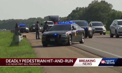 Deadly pedestrian hit-and-run