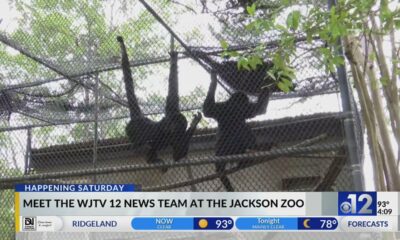 Ice Cream Safari to be held at Jackson Zoo on Saturday