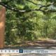 One-mile nature trail opens in Ocean Springs