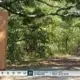 One-mile nature trail opens in Ocean Springs