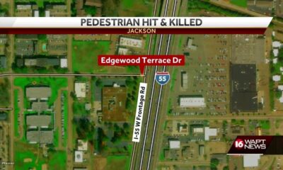 Pedestrian struck and killed