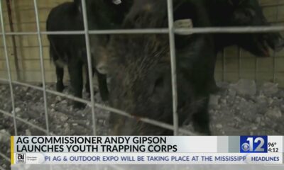 Mississippi launches Wild Hog Control Program Youth Trapping Corps