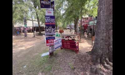 Focused on Mississippi: Neshoba County Fair flowers