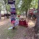 Focused on Mississippi: Neshoba County Fair flowers