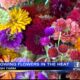 VIDEO: Keeping up with your blooms in the Mississippi heat
