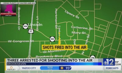 Three arrested for shooting near Brookhaven park