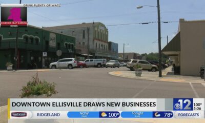 Downtown Ellisville sees boost in new businesses