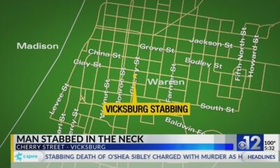 Man stabbed in neck in Vicksburg