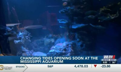 New exhibit “Changing Tides” coming soon to Mississippi Aquarium
