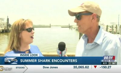 Inside Look: Summer shark encounters with Jill Hendon
