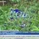 Hinds County candidate claims signs were targeted