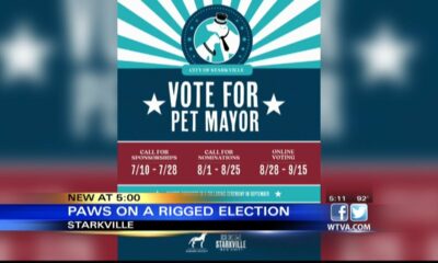 Starkville host first "Pet Mayor" election