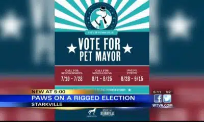 Starkville host first "Pet Mayor" election