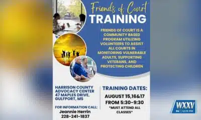 Friends of the Court training