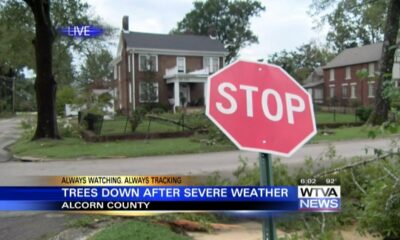 Some storm damage found in Corinth