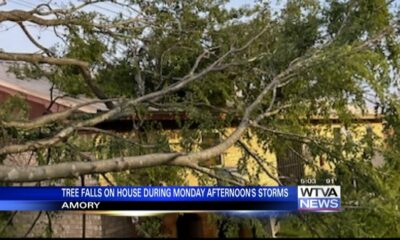 Tree fell on Amory house during Monday afternoon's storms