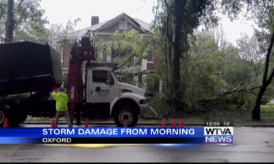 Crews removing toppled trees in Oxford