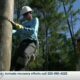 New Mississippi Power facility provides all-in-one lineman training