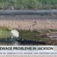 Jackson neighbor concerned about sewage issue