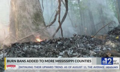 More Mississippi counties under burn bans