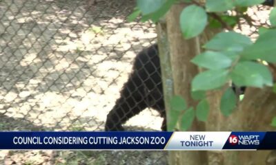 Jackson leaders consider closing zoo