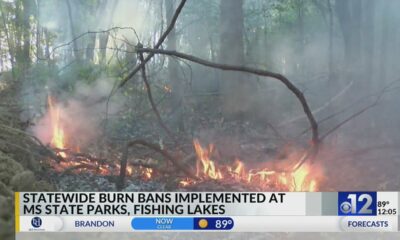 Burn ban issued for Mississippi state parks