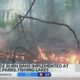 Burn ban issued for Mississippi state parks