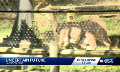 Jackson Zoo future in question
